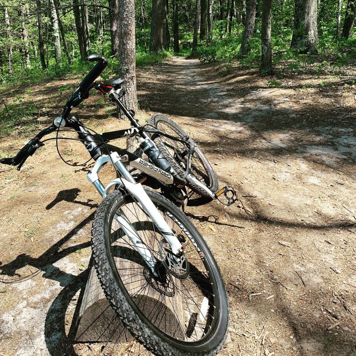 Mountain Biking Basics